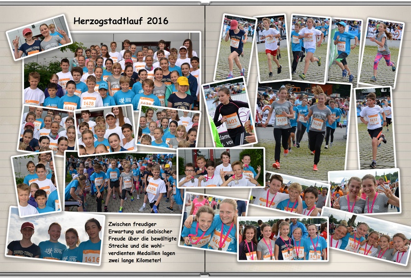 Herzogstadtlauf 2016 groß